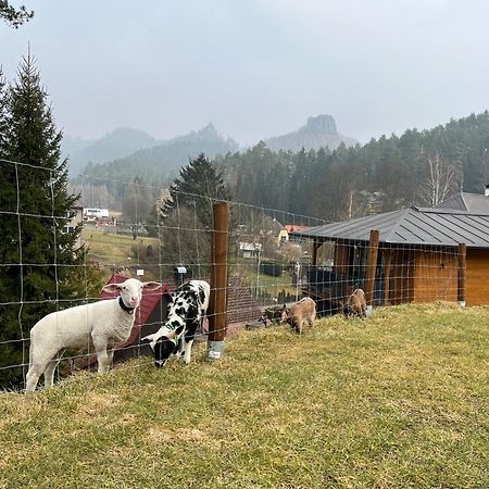 Natur Resort Jetrichovice Kültér fotó